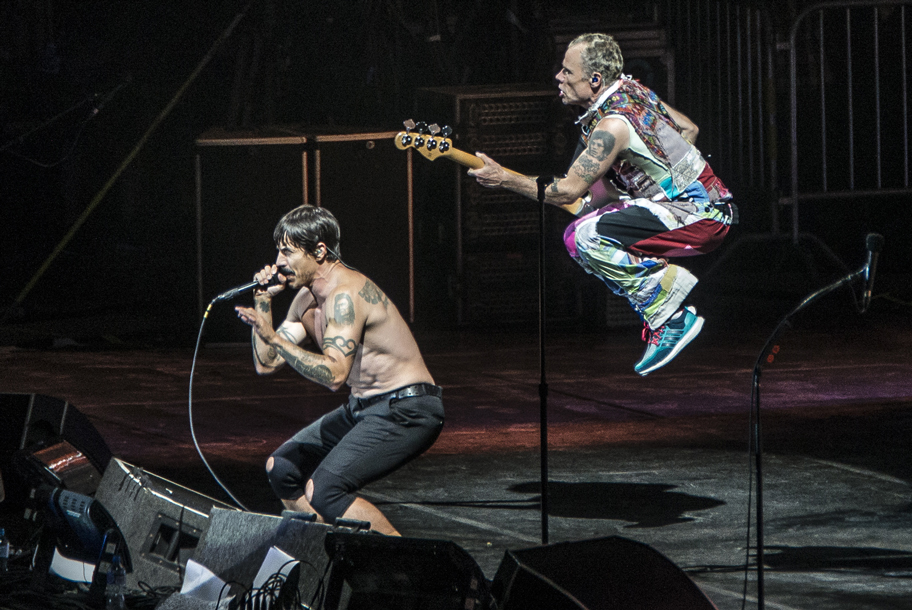 the wombats